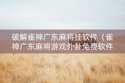 破解雀神广东麻将挂软件（雀神广东麻将游戏外卦免费软件）