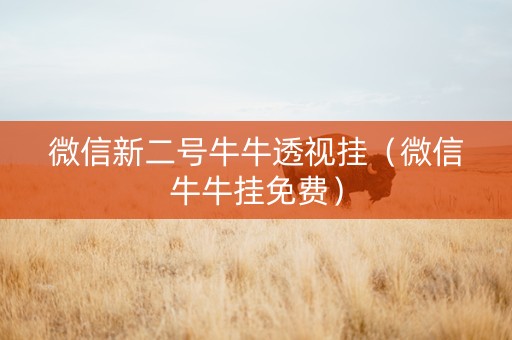 微信新二号牛牛透视挂（微信牛牛挂免费）