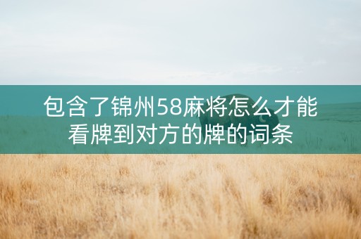 包含了锦州58麻将怎么才能看牌到对方的牌的词条
