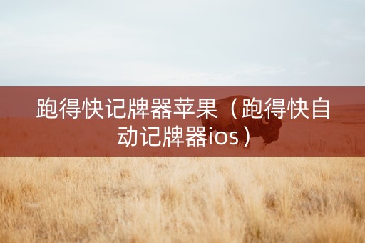 跑得快记牌器苹果（跑得快自动记牌器ios）