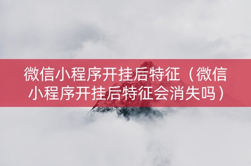 微信小程序开挂后特征（微信小程序开挂后特征会消失吗）