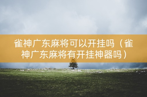 雀神广东麻将可以开挂吗（雀神广东麻将有开挂神器吗）