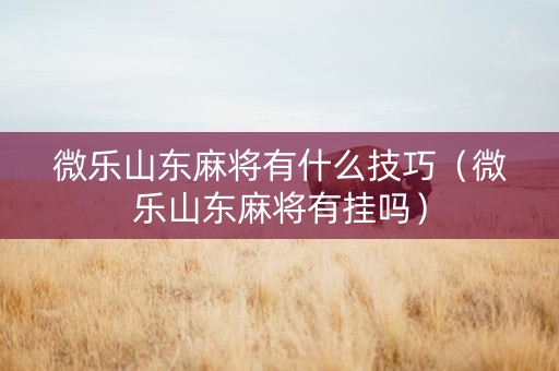 微乐山东麻将有什么技巧（微乐山东麻将有挂吗）