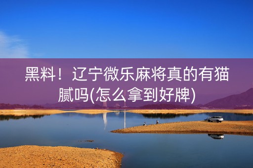 黑料！辽宁微乐麻将真的有猫腻吗(怎么拿到好牌)