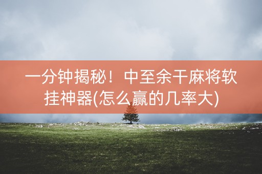 一分钟揭秘！中至余干麻将软挂神器(怎么赢的几率大)