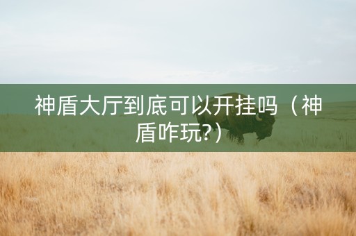 神盾大厅到底可以开挂吗（神盾咋玩?）