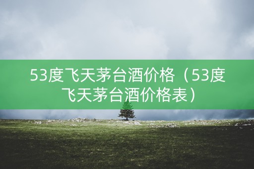53度飞天茅台酒价格（53度飞天茅台酒价格表）