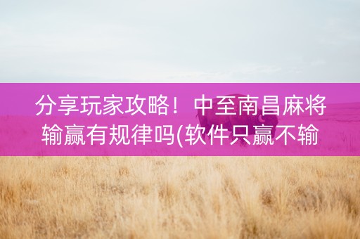 分享玩家攻略！中至南昌麻将输赢有规律吗(软件只赢不输)