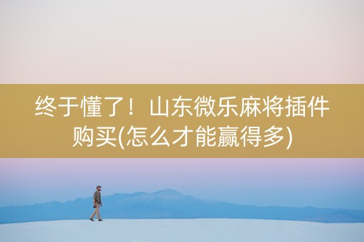 终于懂了！山东微乐麻将插件购买(怎么才能赢得多)