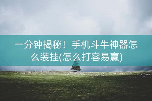 一分钟揭秘！手机斗牛神器怎么装挂(怎么打容易赢)