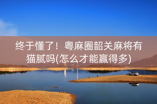 终于懂了！粤麻圈韶关麻将有猫腻吗(怎么才能赢得多)