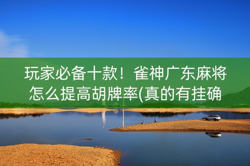 玩家必备十款！雀神广东麻将怎么提高胡牌率(真的有挂确实有挂)