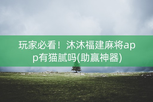 玩家必看！沐沐福建麻将app有猫腻吗(助赢神器)