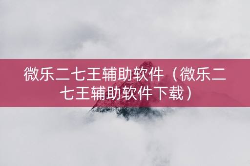 微乐二七王辅助软件（微乐二七王辅助软件下载）