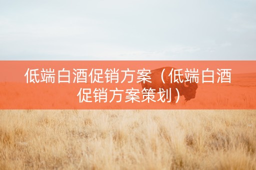 低端白酒促销方案（低端白酒促销方案策划）