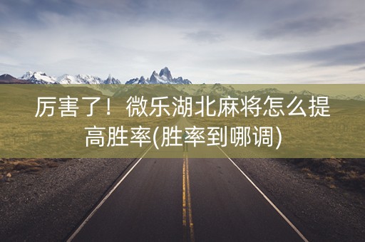 厉害了！微乐湖北麻将怎么提高胜率(胜率到哪调)