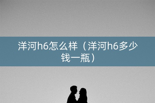 洋河h6怎么样（洋河h6多少钱一瓶）