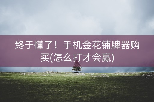 终于懂了！手机金花铺牌器购买(怎么打才会赢)