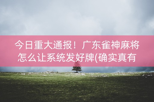 今日重大通报！广东雀神麻将怎么让系统发好牌(确实真有挂)