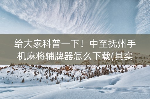 给大家科普一下！中至抚州手机麻将辅牌器怎么下载(其实真的有挂)