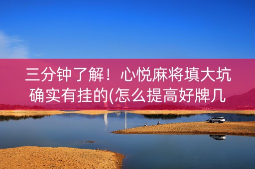 三分钟了解！心悦麻将填大坑确实有挂的(怎么提高好牌几率)