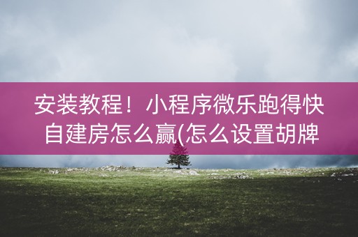 安装教程！小程序微乐跑得快自建房怎么赢(怎么设置胡牌)