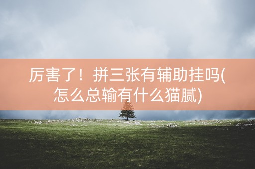 厉害了！拼三张有辅助挂吗(怎么总输有什么猫腻)