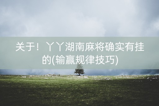 关于！丫丫湖南麻将确实有挂的(输赢规律技巧)