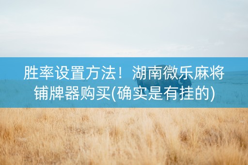 胜率设置方法！湖南微乐麻将铺牌器购买(确实是有挂的)