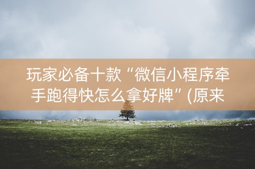 玩家必备十款“微信小程序牵手跑得快怎么拿好牌”(原来真的有挂)-知乎