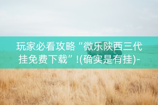 玩家必看攻略“微乐陕西三代挂免费下载”!(确实是有挂)-知乎