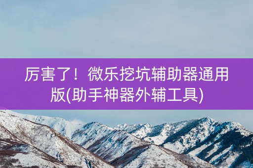 厉害了！微乐挖坑辅助器通用版(助手神器外辅工具)