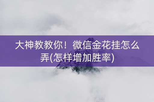 大神教教你！微信金花挂怎么弄(怎样增加胜率)