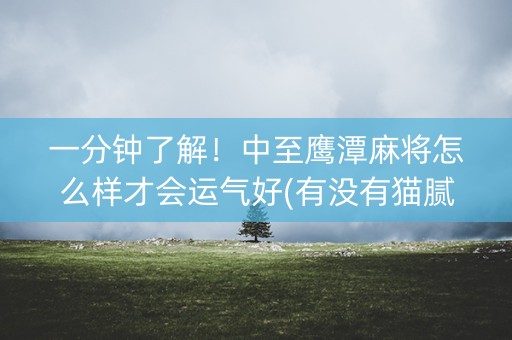 一分钟了解！中至鹰潭麻将怎么样才会运气好(有没有猫腻)