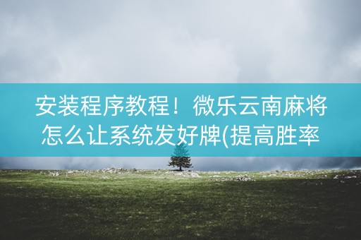 安装程序教程！微乐云南麻将怎么让系统发好牌(提高胜率的方法)