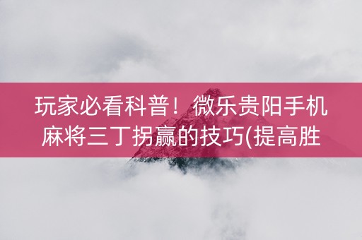玩家必看科普！微乐贵阳手机麻将三丁拐赢的技巧(提高胜率方法)
