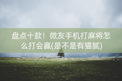 盘点十款！微友手机打麻将怎么打会赢(是不是有猫腻)