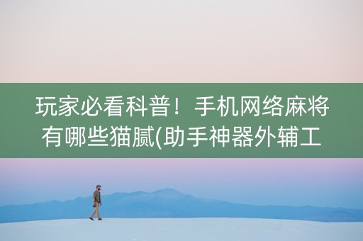 玩家必看科普！手机网络麻将有哪些猫腻(助手神器外辅工具)