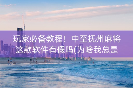 玩家必备教程！中至抚州麻将这款软件有假吗(为啥我总是输)