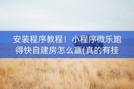 安装程序教程！小程序微乐跑得快自建房怎么赢(真的有挂确实有挂)