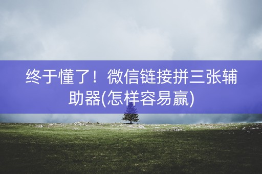 终于懂了！微信链接拼三张辅助器(怎样容易赢)
