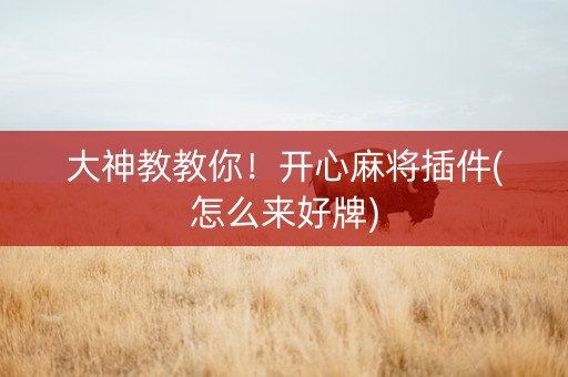 大神教教你！开心麻将插件(怎么来好牌)