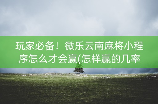 玩家必备！微乐云南麻将小程序怎么才会赢(怎样赢的几率大)