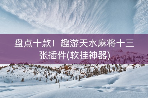 盘点十款！趣游天水麻将十三张插件(软挂神器)