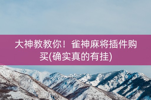 大神教教你！雀神麻将插件购买(确实真的有挂)