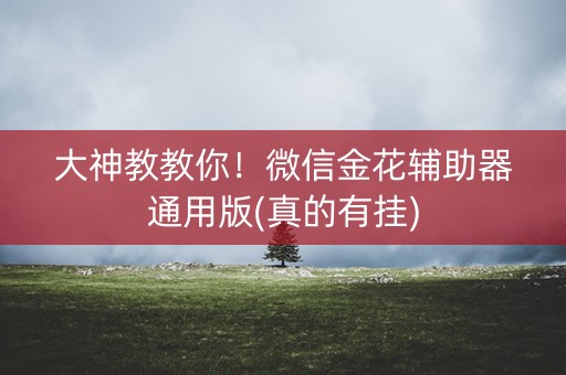 大神教教你！微信金花辅助器通用版(真的有挂)