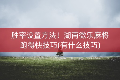 胜率设置方法！湖南微乐麻将跑得快技巧(有什么技巧)