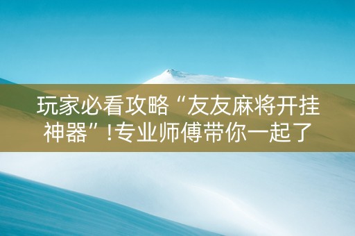 玩家必看攻略“友友麻将开挂神器”!专业师傅带你一起了解（详细教程）-知乎
