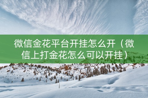 微信金花平台开挂怎么开（微信上打金花怎么可以开挂）