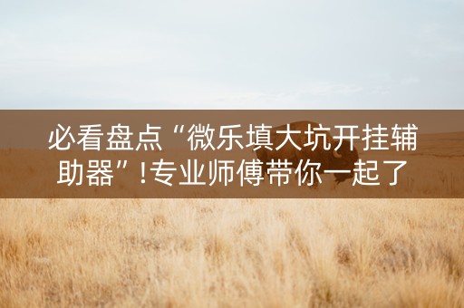 必看盘点“微乐填大坑开挂辅助器”!专业师傅带你一起了解（详细教程）-知乎